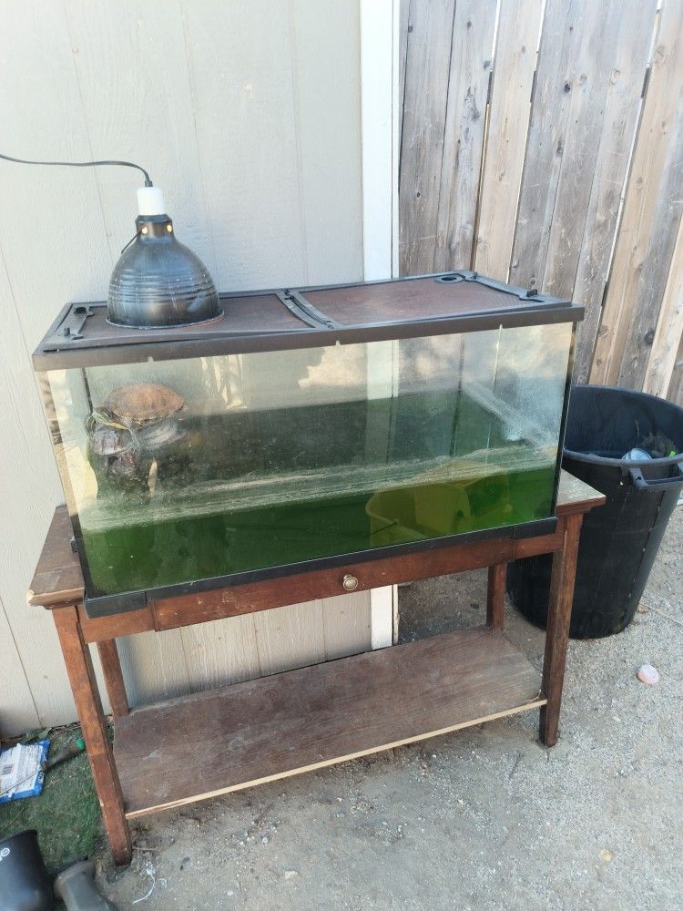 Fish Tank For Sale 120$obo