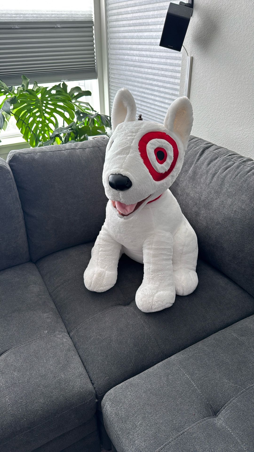 Target Dog Plus Toy