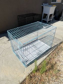 Kennels