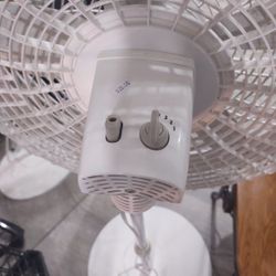 Stand Up Fan