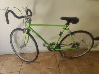 Schwinn World Traveller mint condition