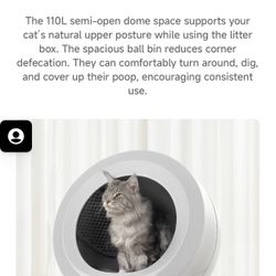 Self Cleaning Litter Box