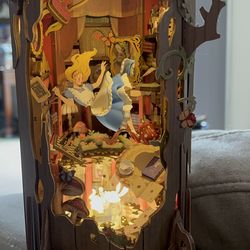 Alice the wonderland