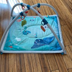 Baby Play Mat
