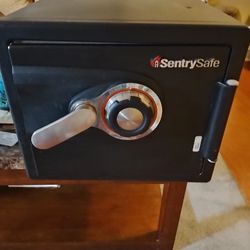 Sentry Safe 