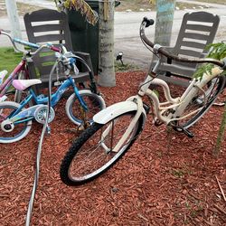 3 Bikes all for $20