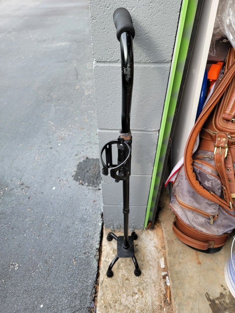 Walking Cane