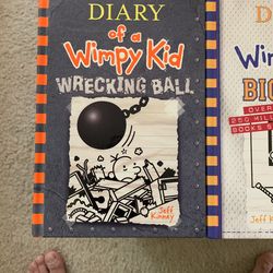 Diary of a wimpy Kid