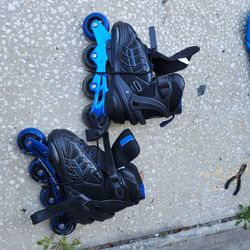 Shwinn Roller Skates