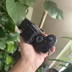 Sony a7IV