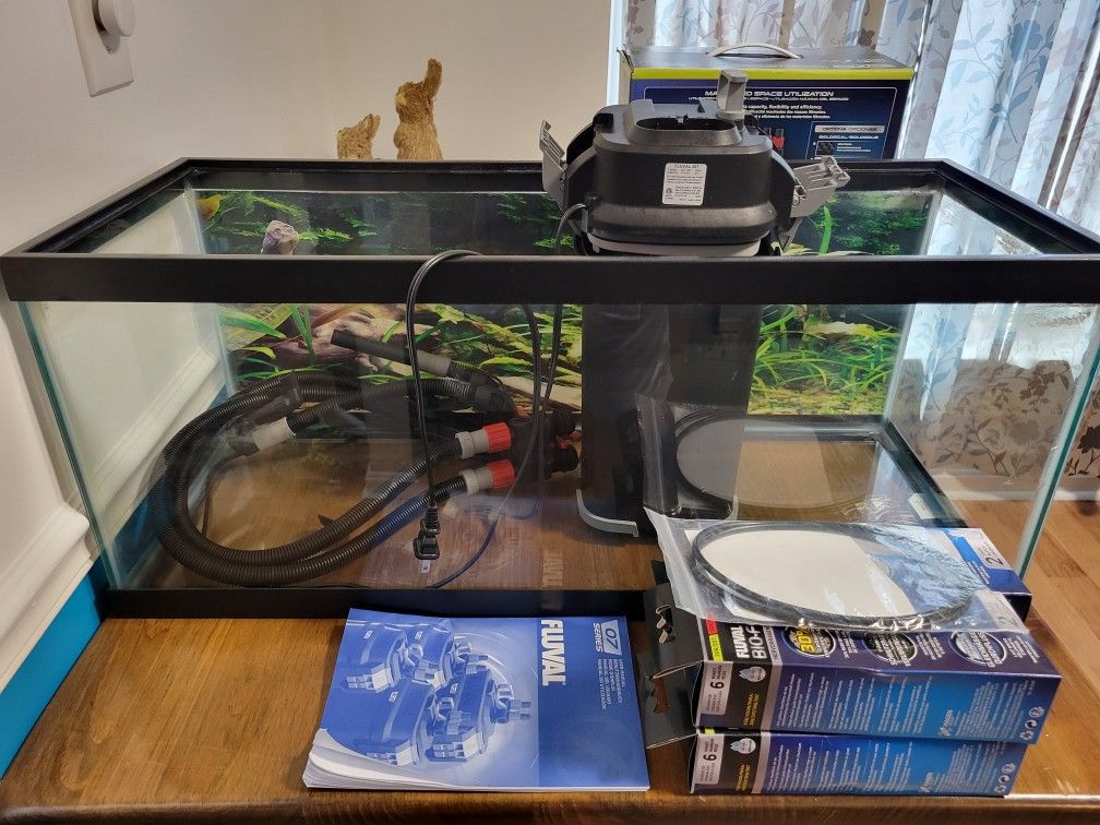 20 Gallon Tank w/Canister Filter
