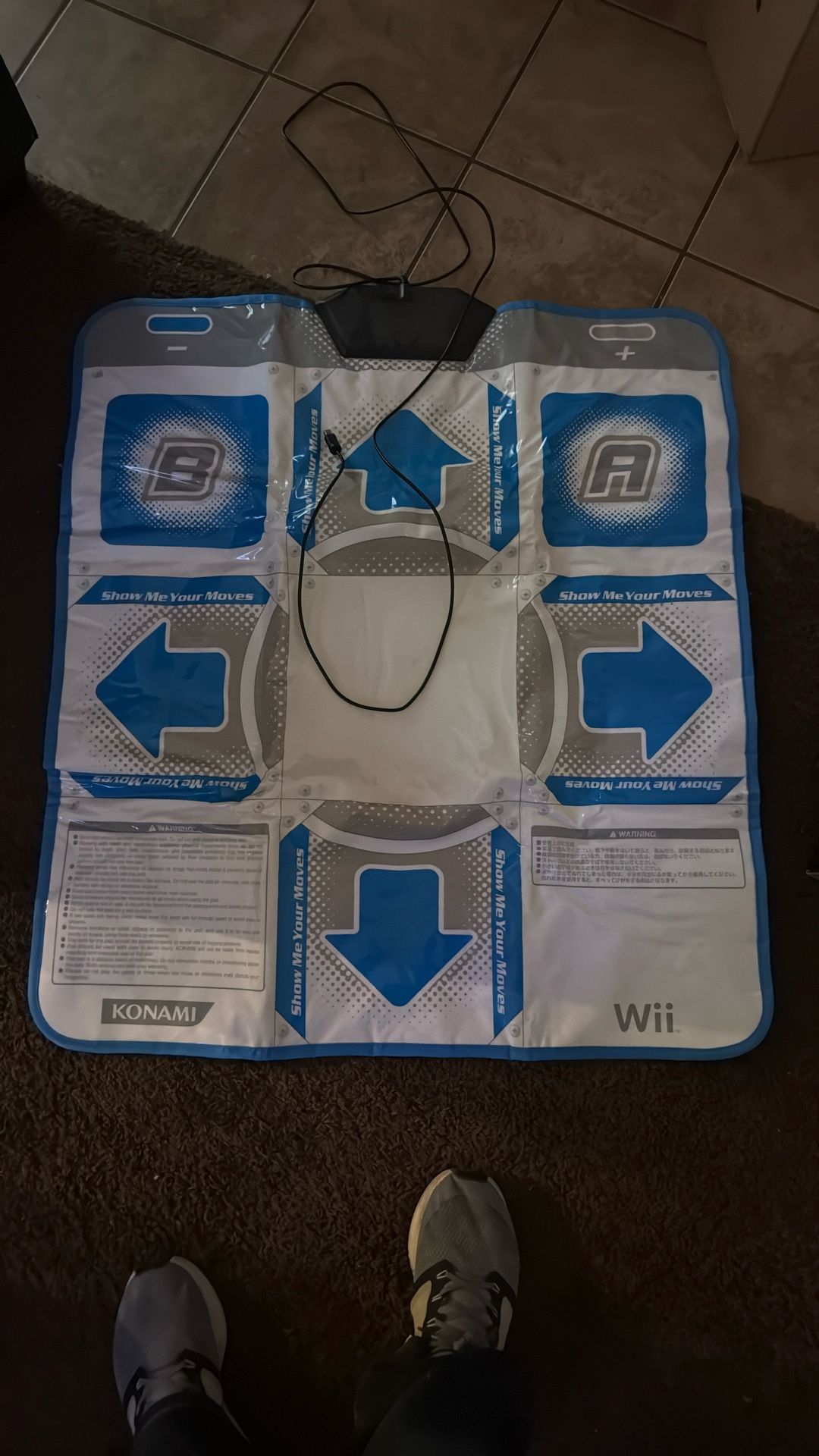 Wii Dance Pad