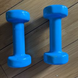 3 Pound Each Both Of Them Are $10 Brand New 