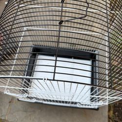 bird cage