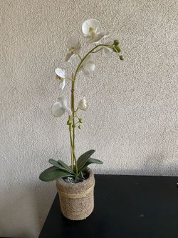 Artificial orchid