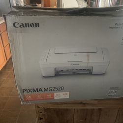 Canon PIXMA MG2520 Printer