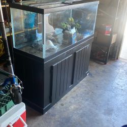 75 Gallon Fish Tank + Stand 