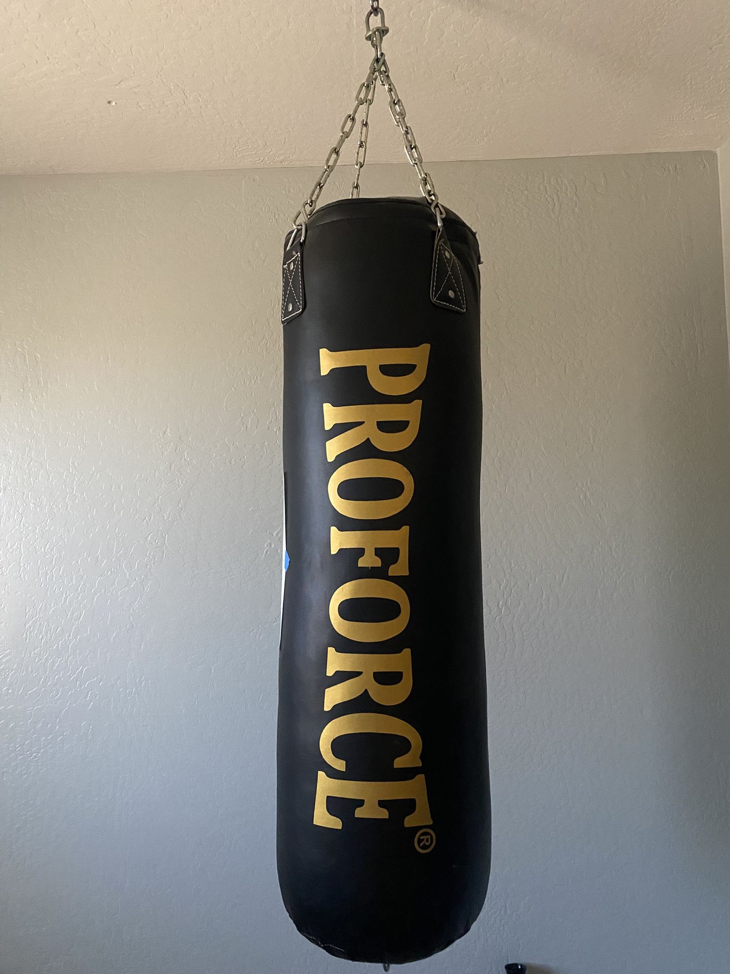 proforce punching bag