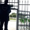 BurglarBars / Fence (7)8747188