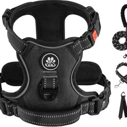 Dog Harness - Leash, Seat Belt