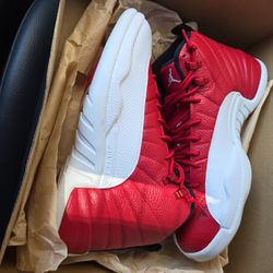 Gym Red 12s Jordan Nike Dunks