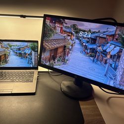 HP 21" Monitor - $25 or  BOTH for $45 1080p / Like New