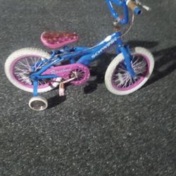 Schwinn 16 Inch Kids Bike In Used Condition Functions 100 Percent Cash Only 