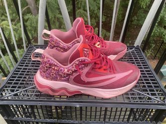 Giannis basketball shoes