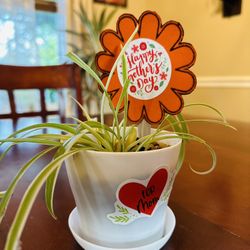 Mother’s Day/Teacher Appreciation gifts Plants sale 