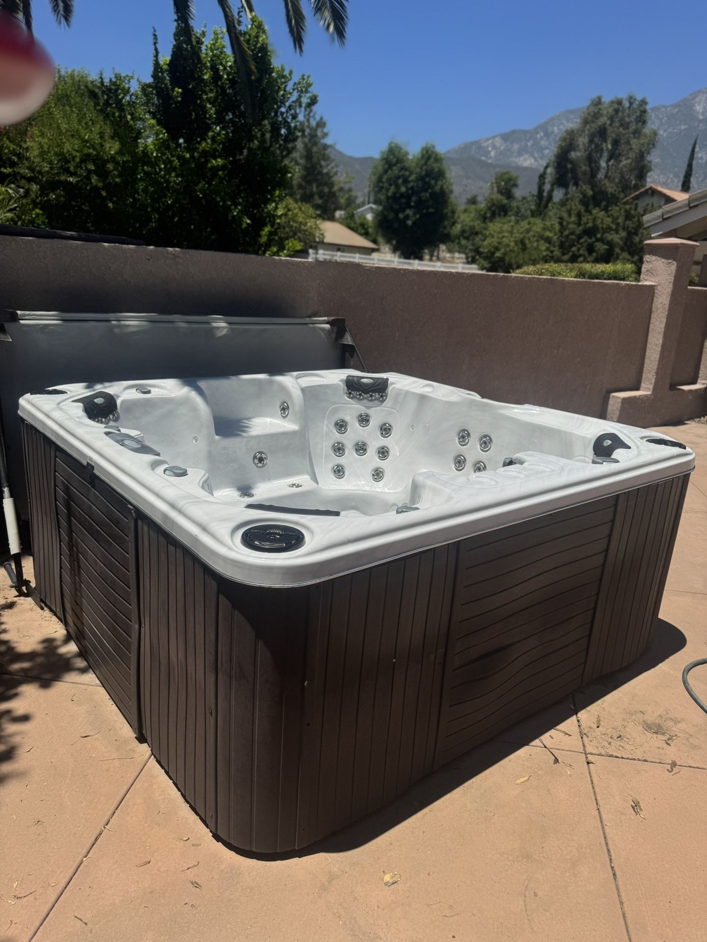 Loaded Cal Spas Hot Tub