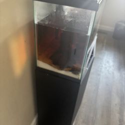 Fish Tank W Stand 