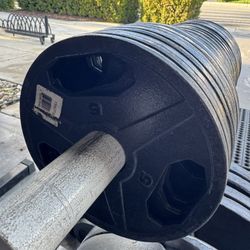 Weights With Dumbbell Handles 