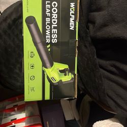 Leaf blower