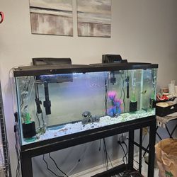 Arqueon 55gal Tank, Stand And Accessories 