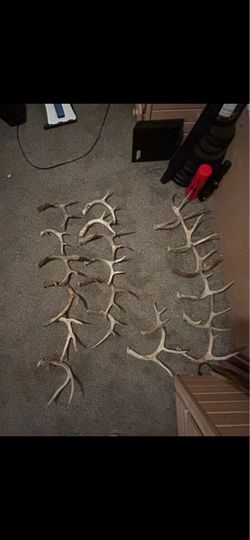 Assorted sheds