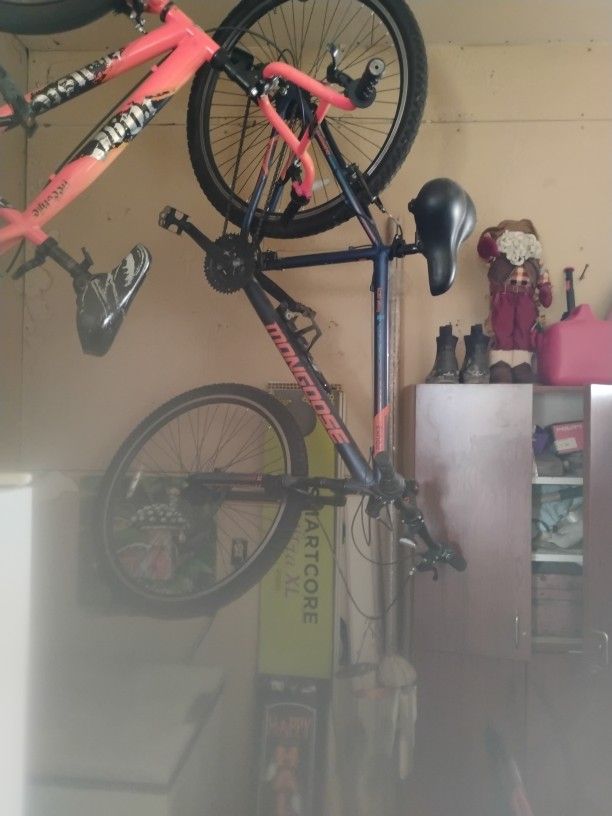 Mongoose Bike Goes For 375