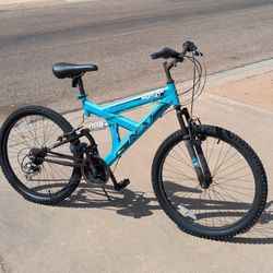 Next Gauntlet Mtn Bike 24"