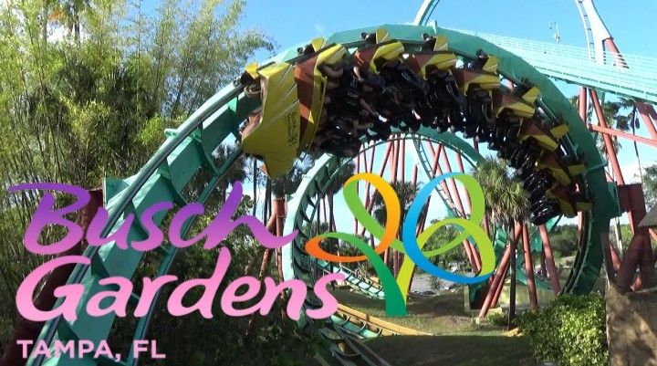 Busch Gardens Tampa