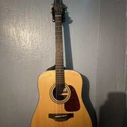 Takamine G Series 