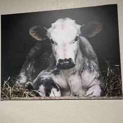 Cow painting