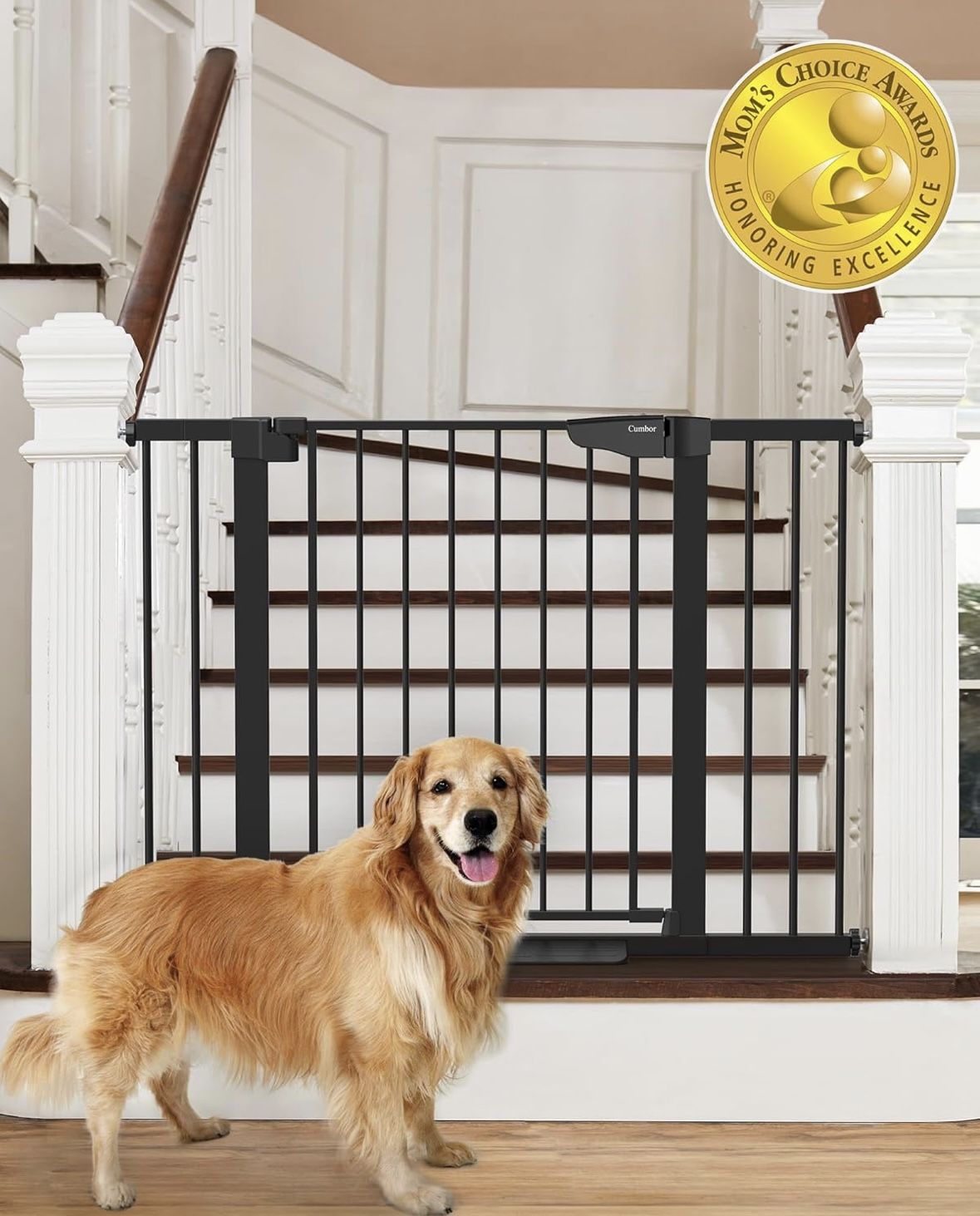 Security Gate