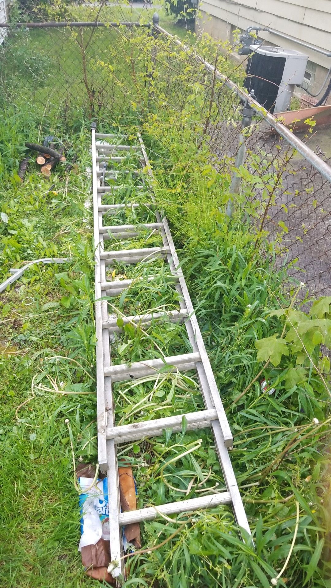 Ladder