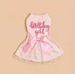 Birthday Girl Pet Dress