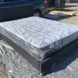 Black Fabric New Nice Bed With Orthopedic Supreme Mattress Included 
