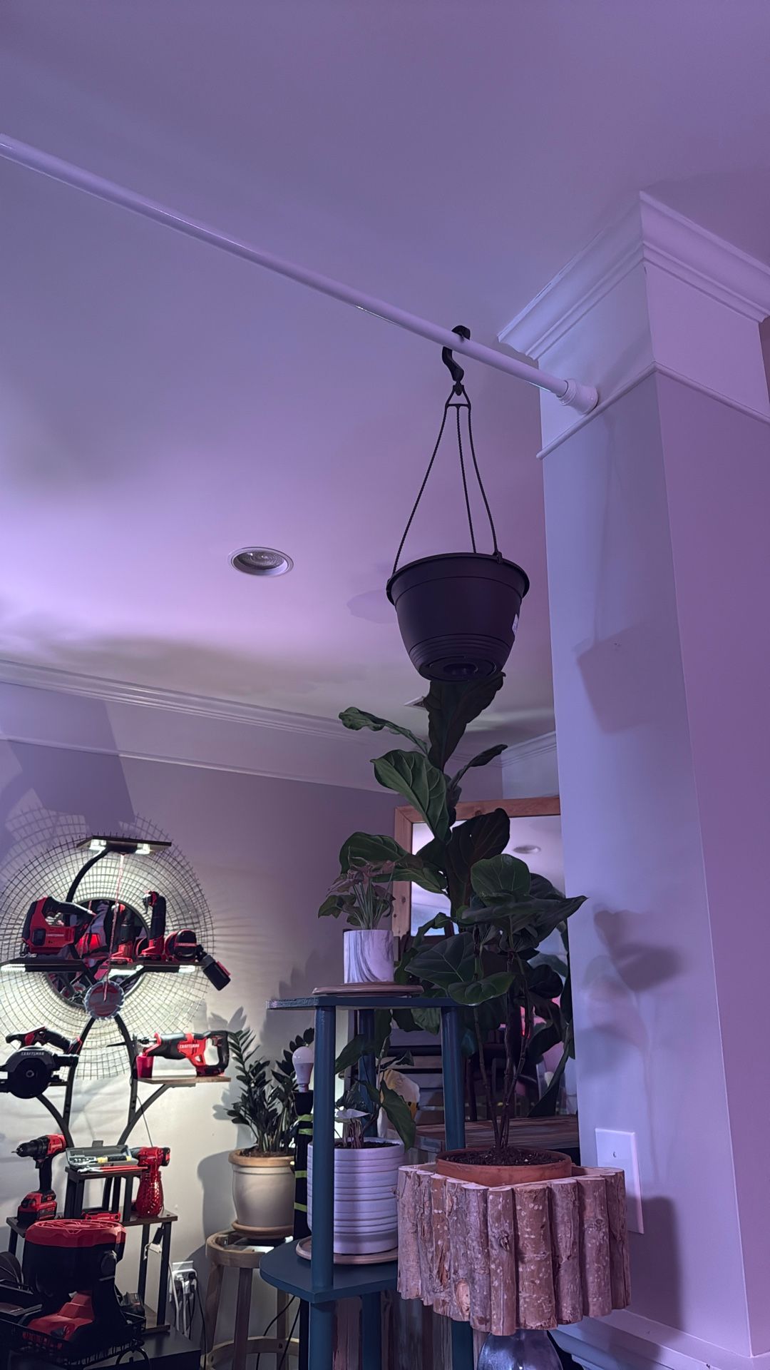 Build Your Own Hanging Plant