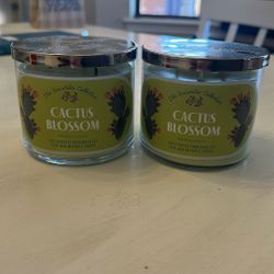 Bath & Body Candles 