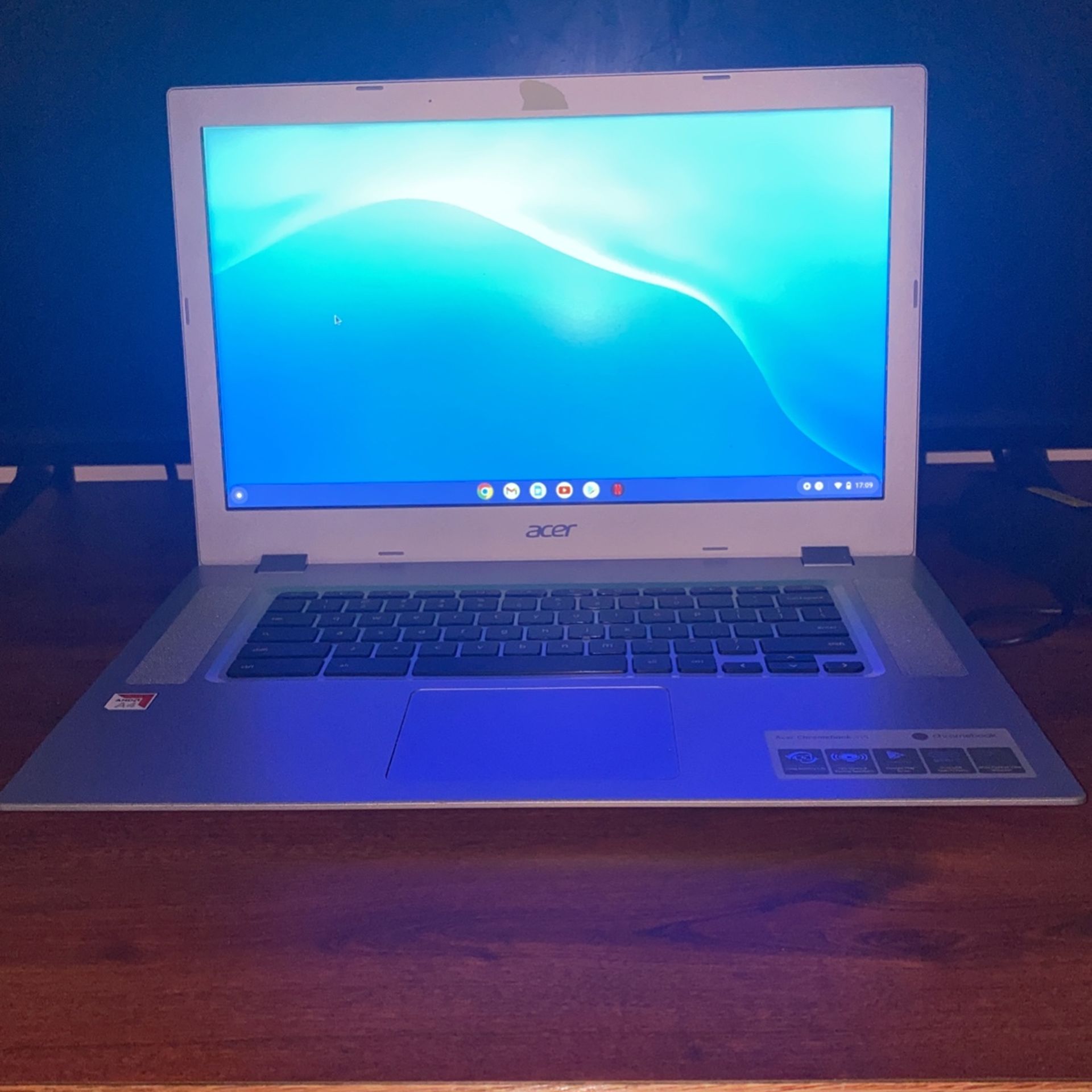 Acer chrome book 315