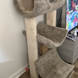 Cat Tree 
