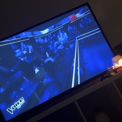 TV (LG 49” – non-smart)