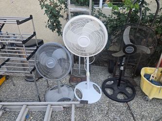 Fans